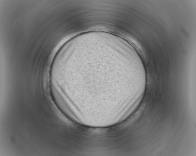 X0000113900808200910221437