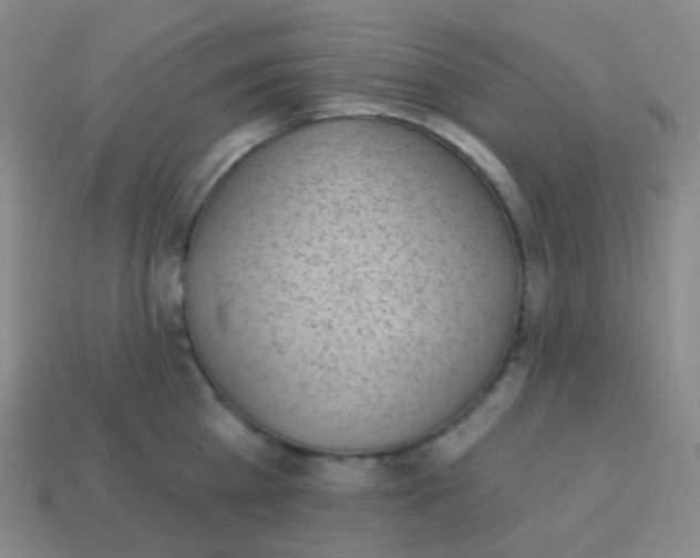 X0000113900809200910221437