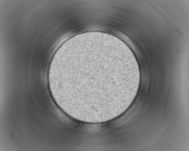 X0000113900810200910221437