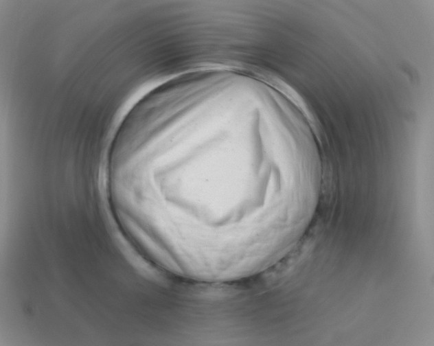 X0000113900811200910221437