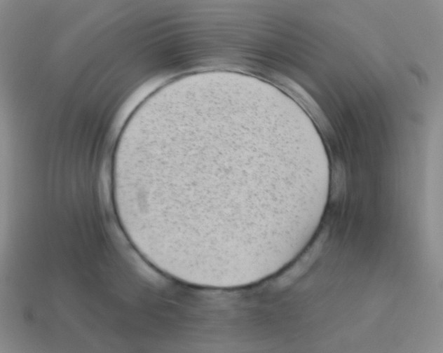 X0000113900812200910221437