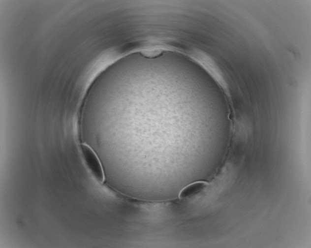 X0000113900813200910221437