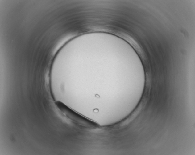 X0000113900814200910221437