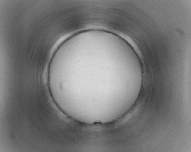 X0000113900815200910221437