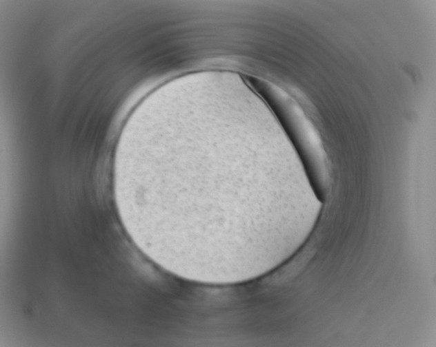 X0000113900816200910221437