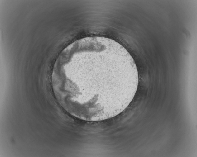 X0000113900817200910221436