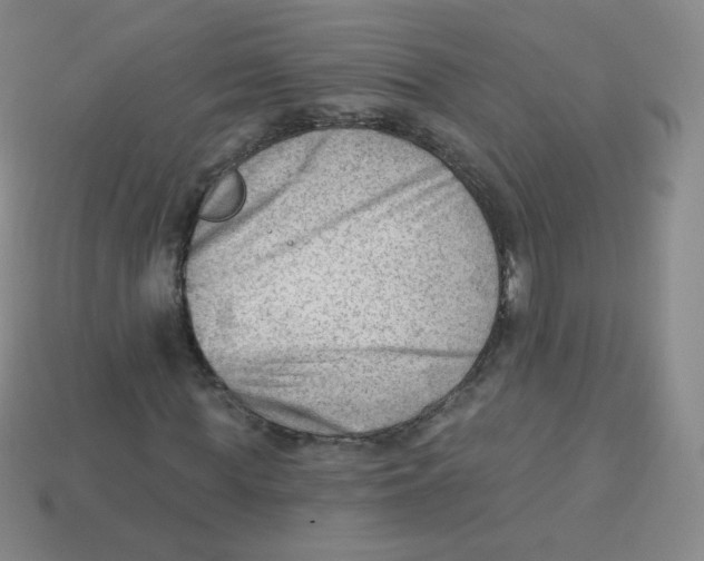 X0000113900819200910221436