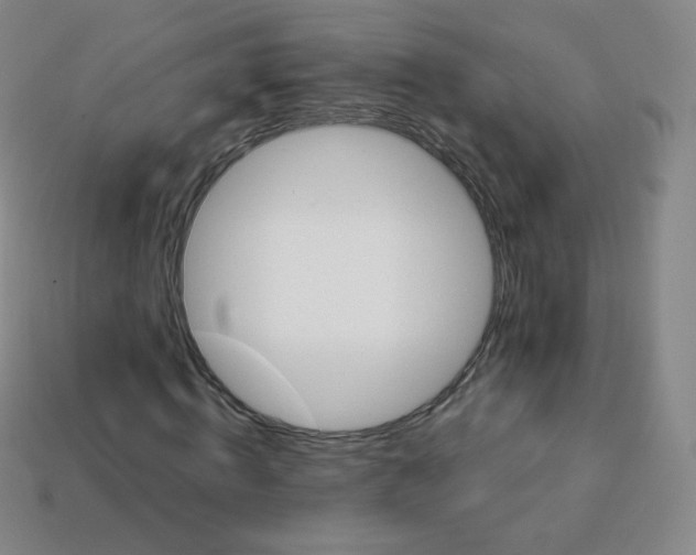 X0000113900820200910221436