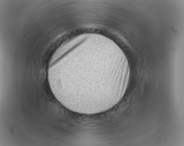 X0000113900821200910221436