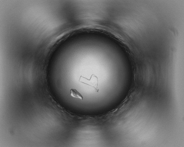 X0000113900822200910221436