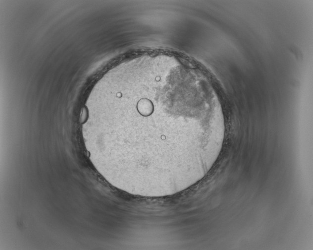 X0000113900823200910221436