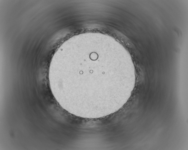 X0000113900824200910221436