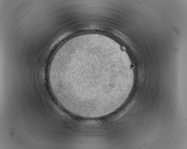 X0000113900826200910221436