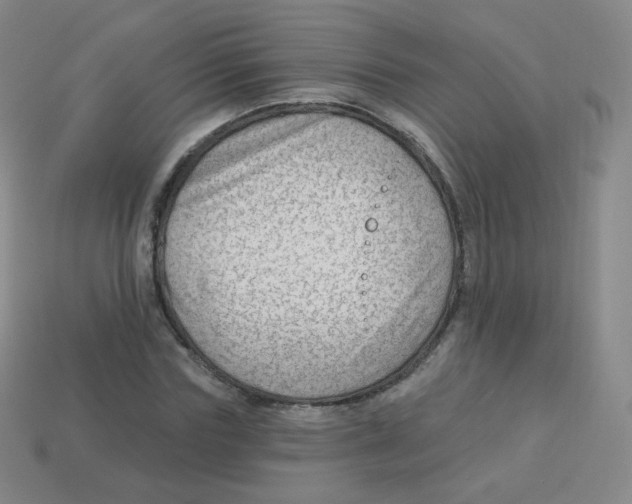 X0000113900827200910221436