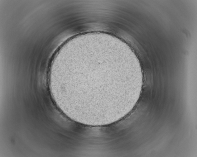 X0000113900828200910221436