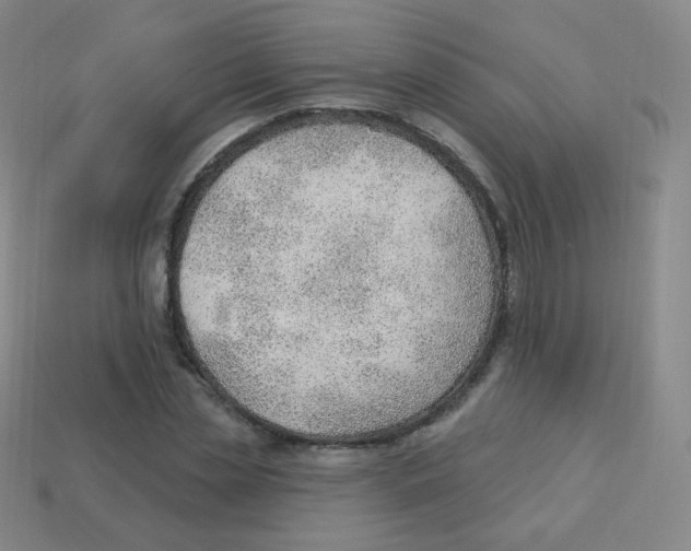 X0000113900829200910221436