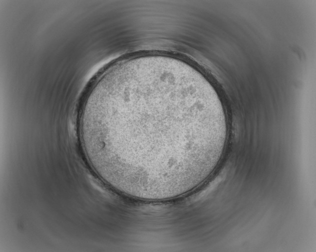 X0000113900830200910221436