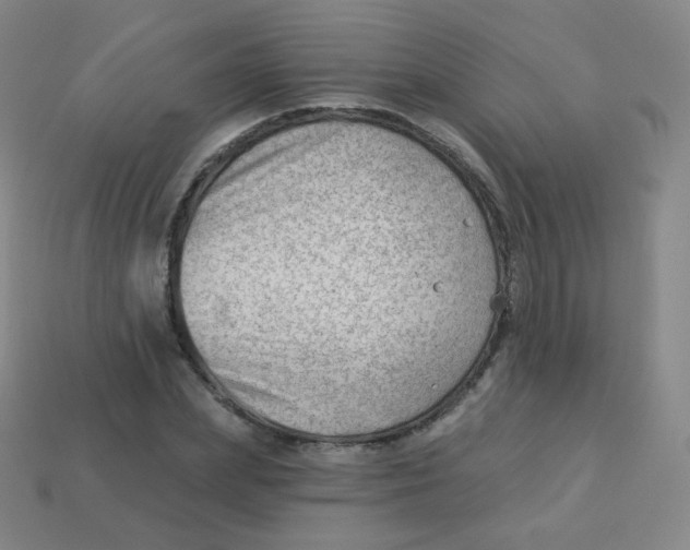 X0000113900831200910221436