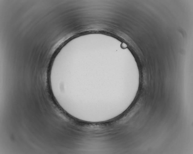 X0000113900834200910221436