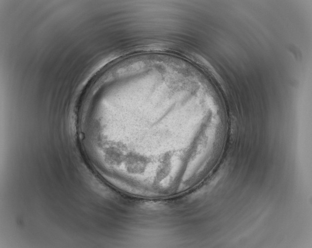 X0000113900835200910221436