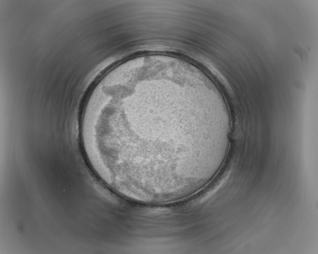 X0000113900837200910221436