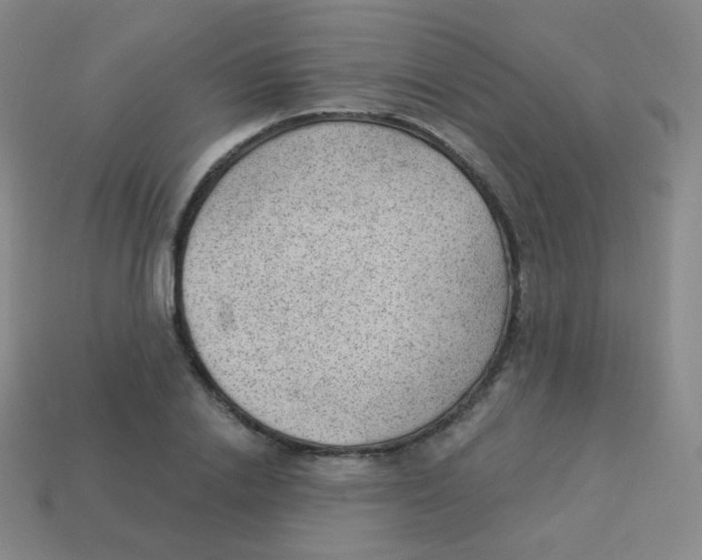 X0000113900838200910221436