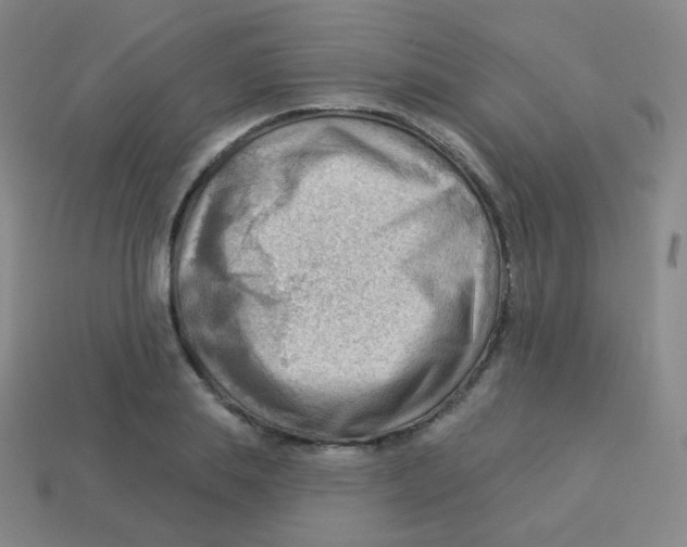 X0000113900839200910221436