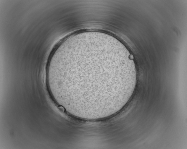 X0000113900840200910221436