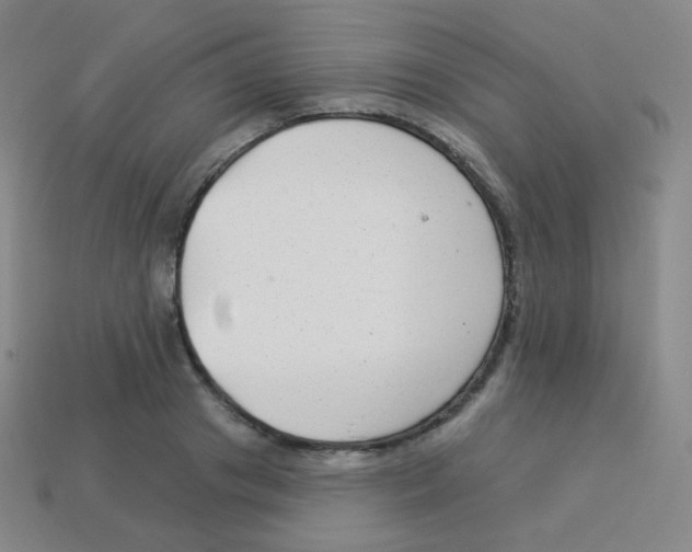 X0000113900841200910221437