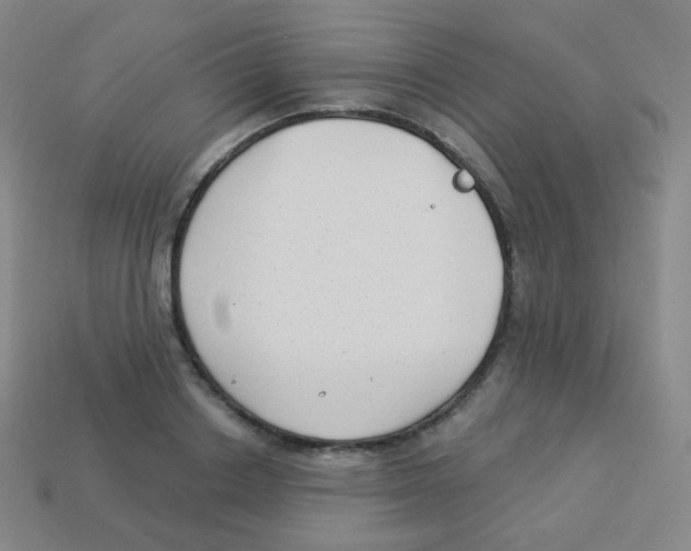 X0000113900842200910221437