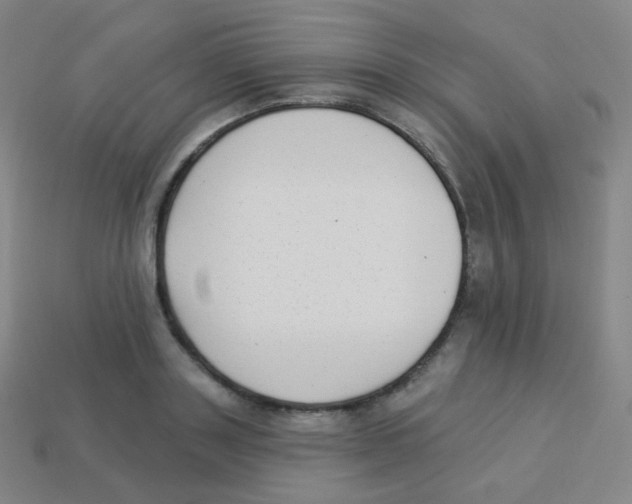 X0000113900843200910221437