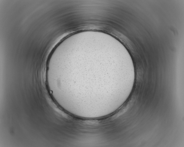 X0000113900844200910221437