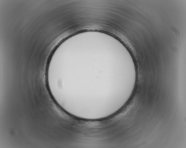 X0000113900845200910221437