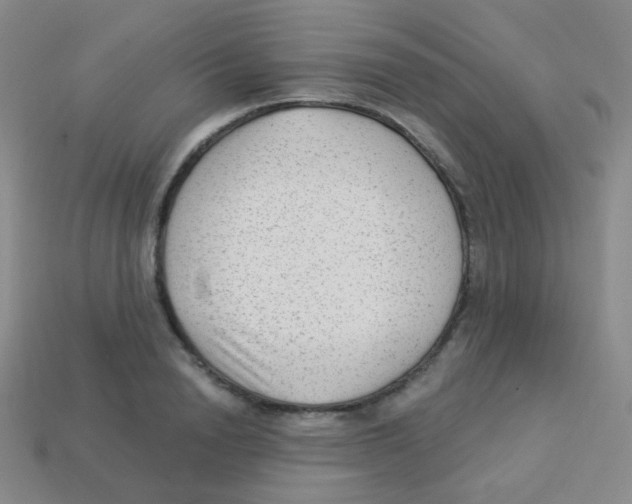 X0000113900846200910221437