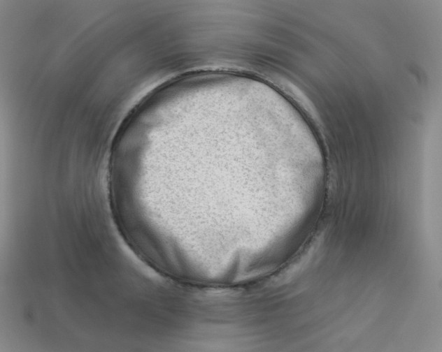 X0000113900847200910221437