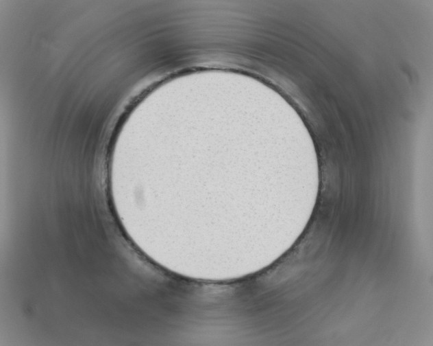 X0000113900848200910221437