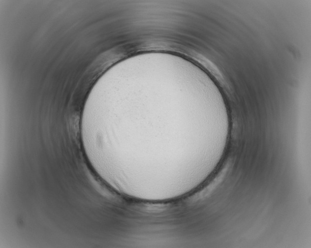 X0000113900849200910221437