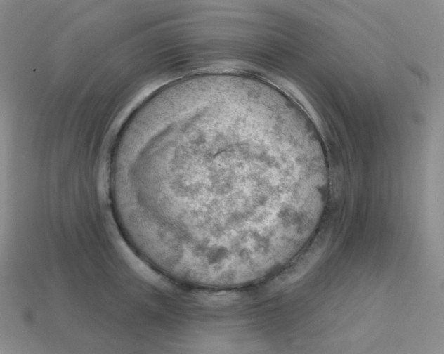 X0000113900851200910221437