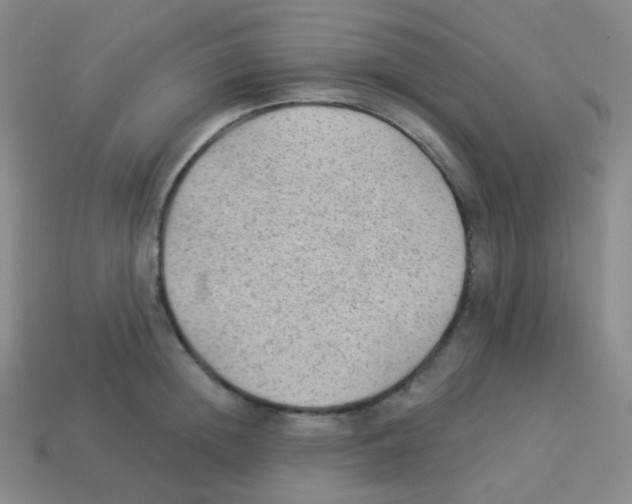 X0000113900852200910221437