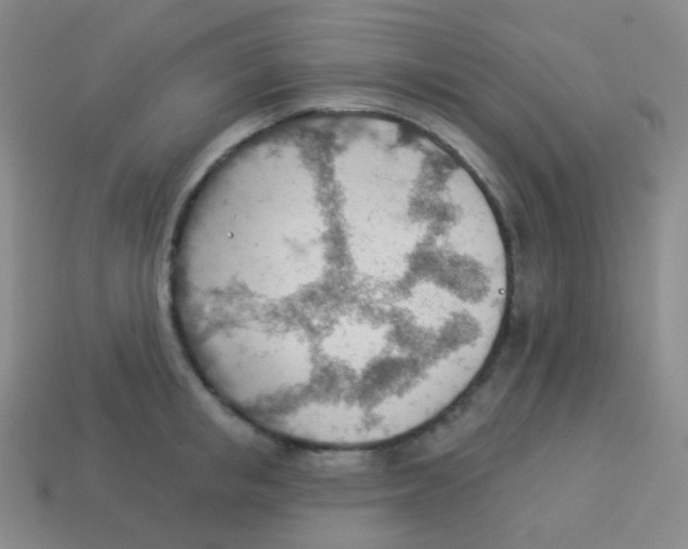 X0000113900853200910221437