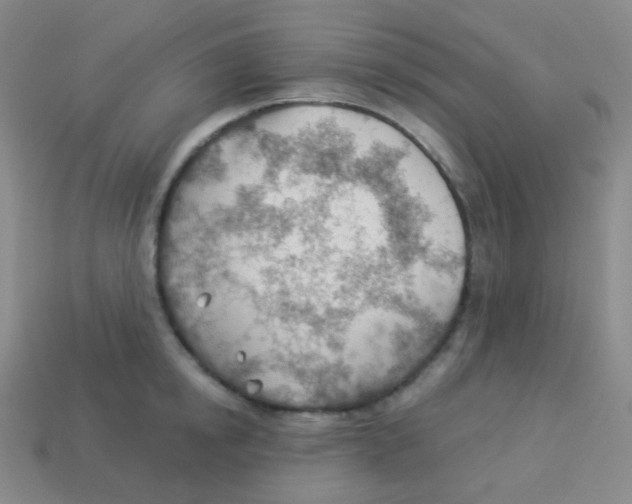 X0000113900854200910221437