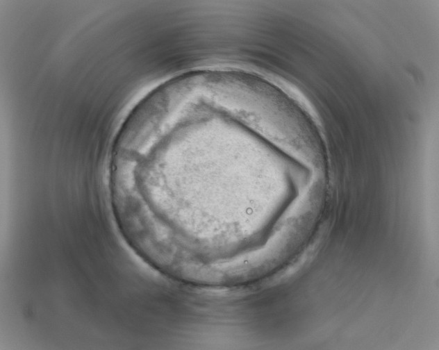 X0000113900855200910221437