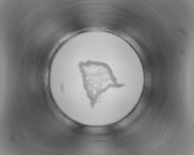 X0000113900856200910221437