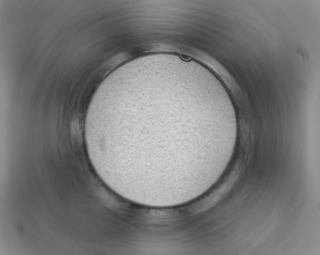 X0000113900857200910221437