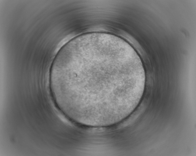 X0000113900858200910221437