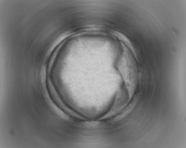 X0000113900859200910221437