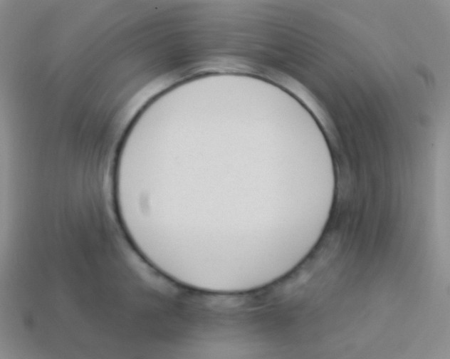 X0000113900861200910221437