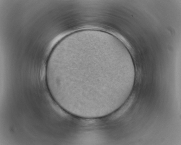 X0000113900862200910221437