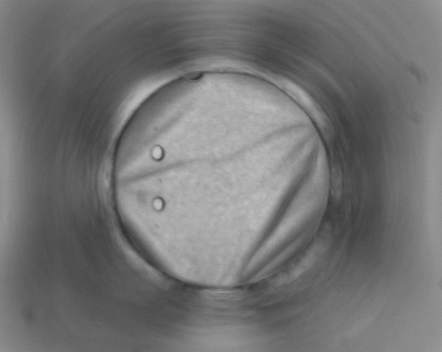 X0000113900863200910221437