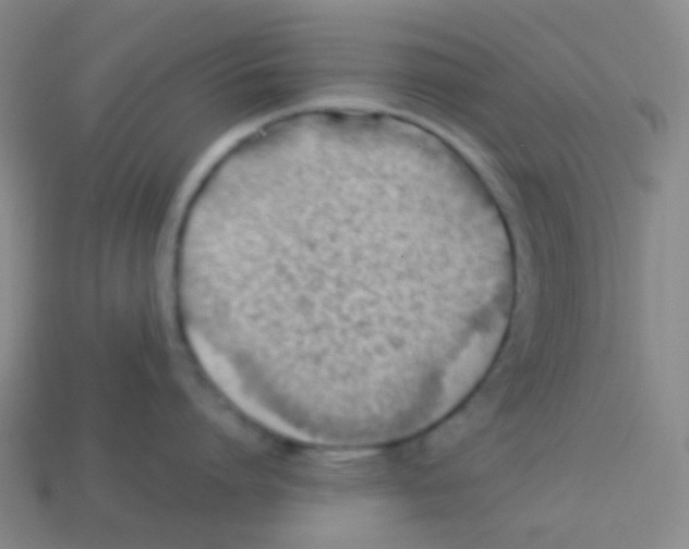 X0000113900864200910221437